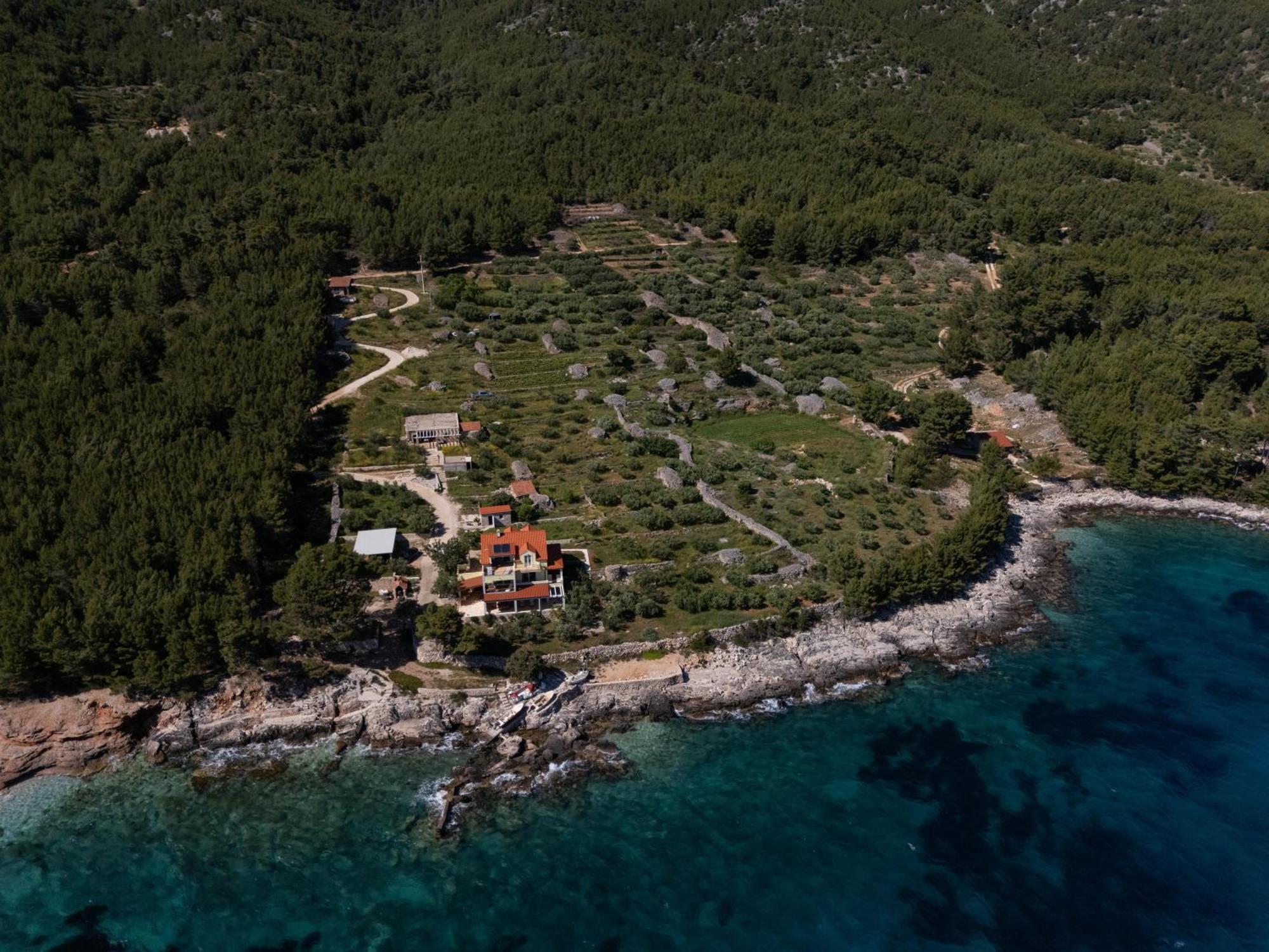 Villa Marin - 4 Apartments Zavala Kültér fotó